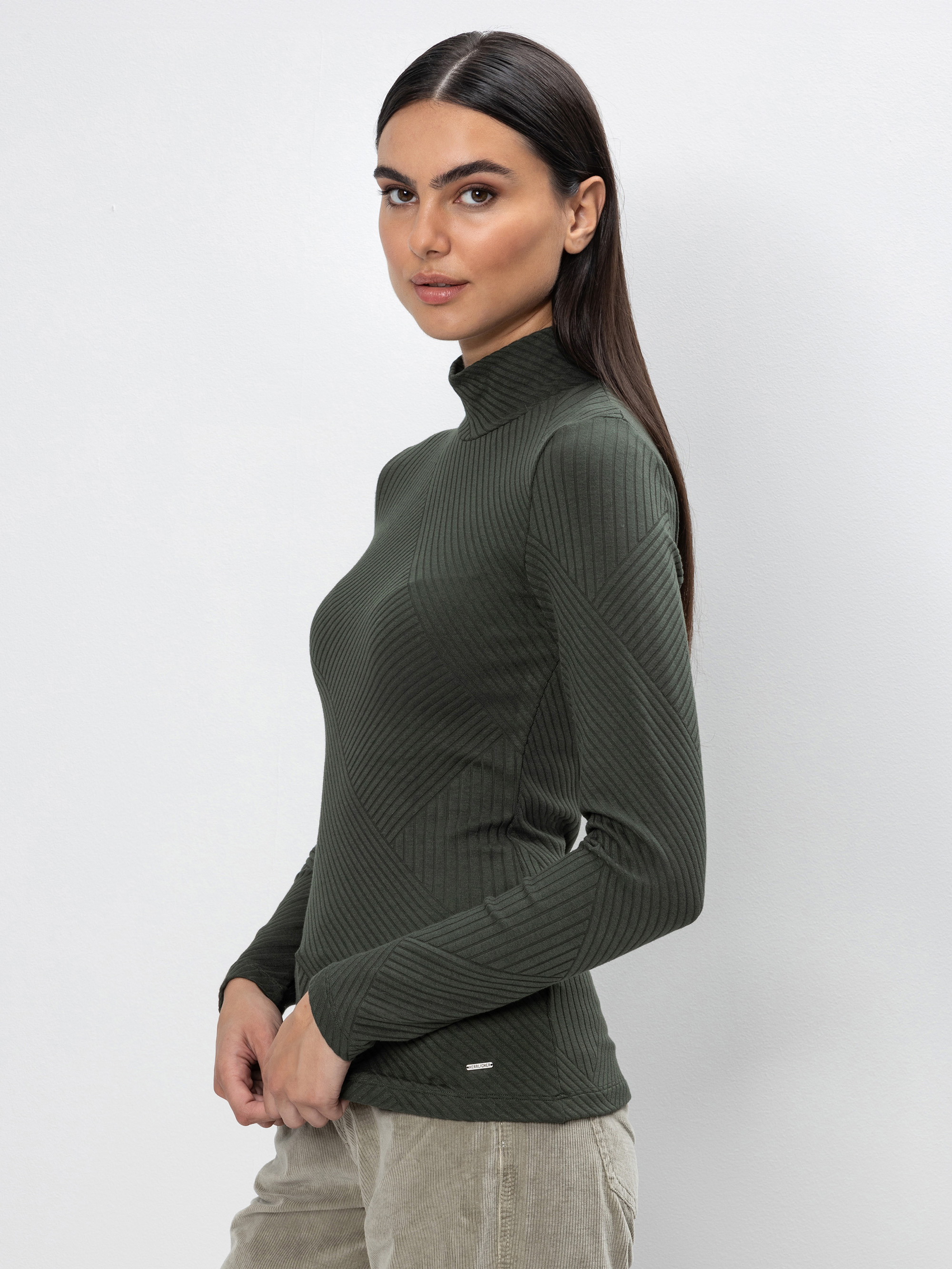 Modell Albie Stehkragenshirt